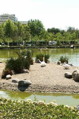 Parque de la Paloma